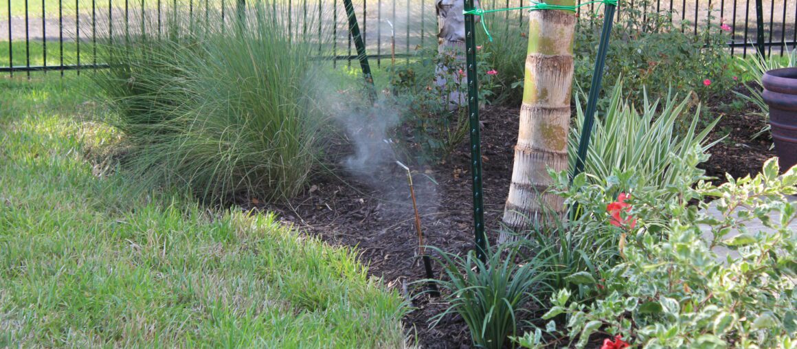 Professional Mosquito Control from Mosquito Mist